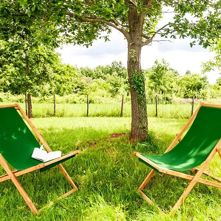 Doda With Heated Pool, Garden And Indoor Sauna In Istria Croatia Villa